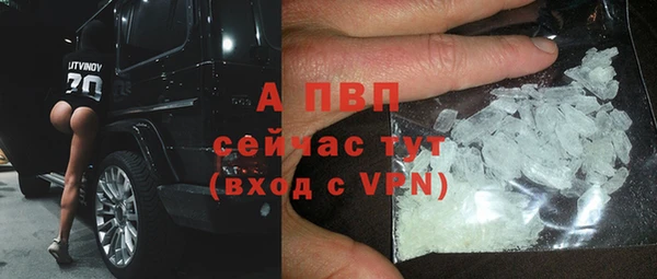 соль ск Ельня
