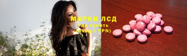 молекула духа Елабуга