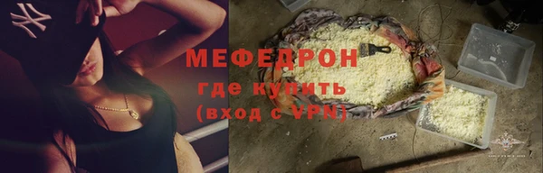 соль ск Ельня
