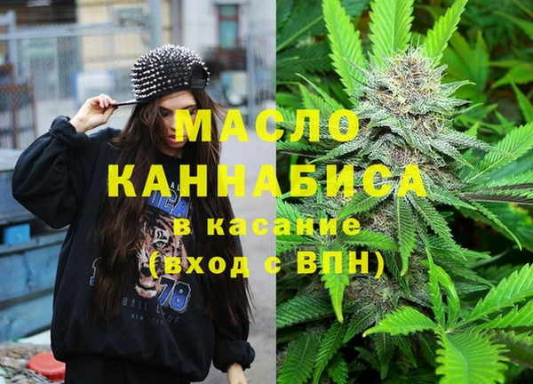 молекула духа Елабуга