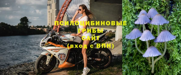 спайс Елизово