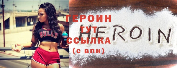 соль ск Ельня