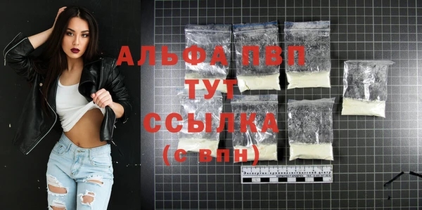 молекула духа Елабуга