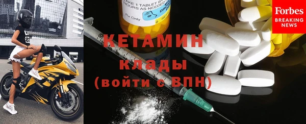 соль ск Ельня