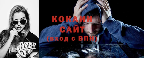 соль ск Ельня