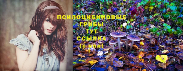 соль ск Ельня